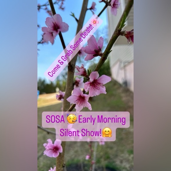 🥳PLEASE LIKE THIS FLYER TO BE NOTIFIED OF MORNING ☀️SHOWS!🤗 - Picture 1 of 1